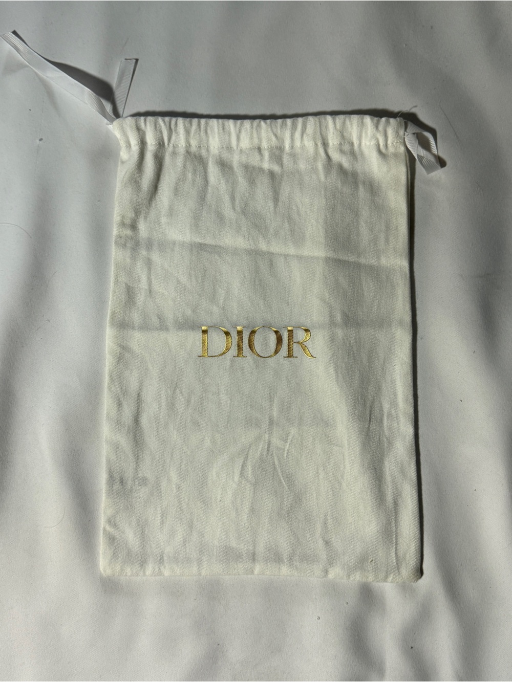 Small Dior Dustbag